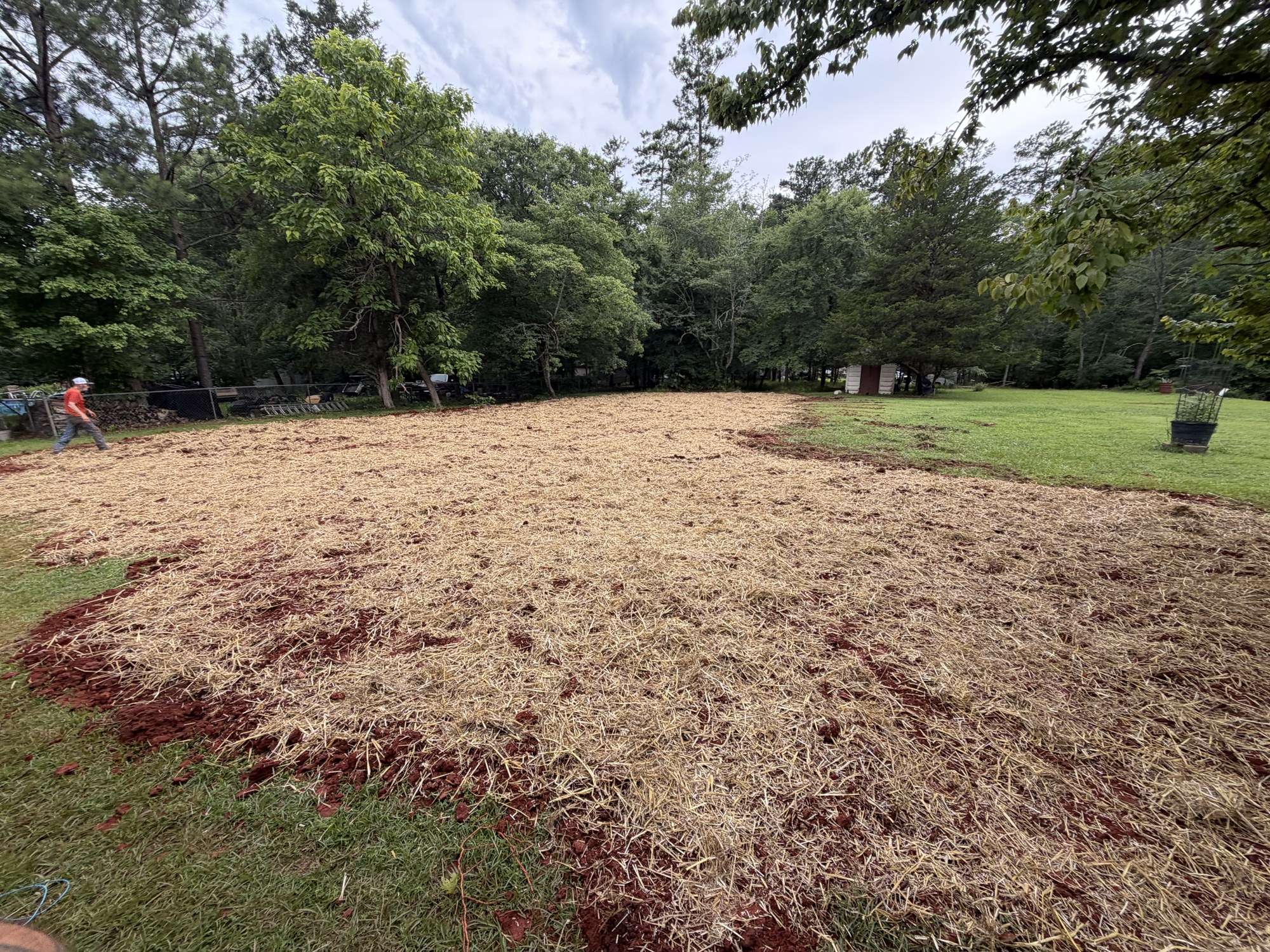 Finished drain field seeded and covered with straw